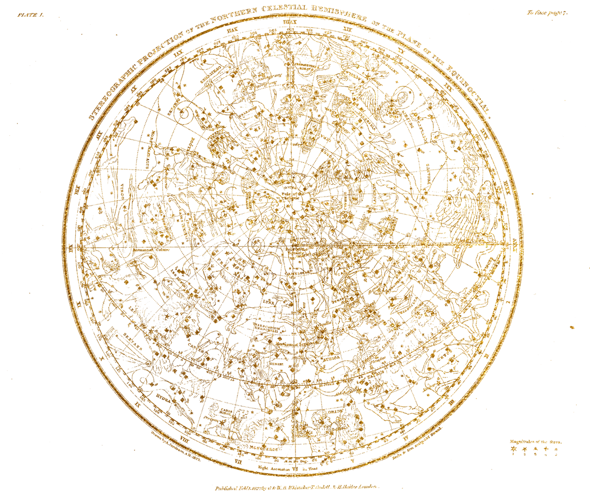 Architects of Wonder