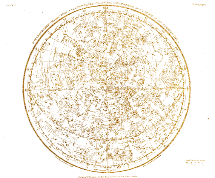 Architects of Wonder