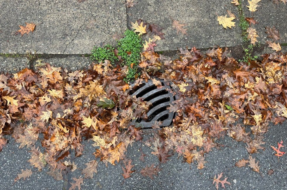 Adopt-a-Catch Basin Program