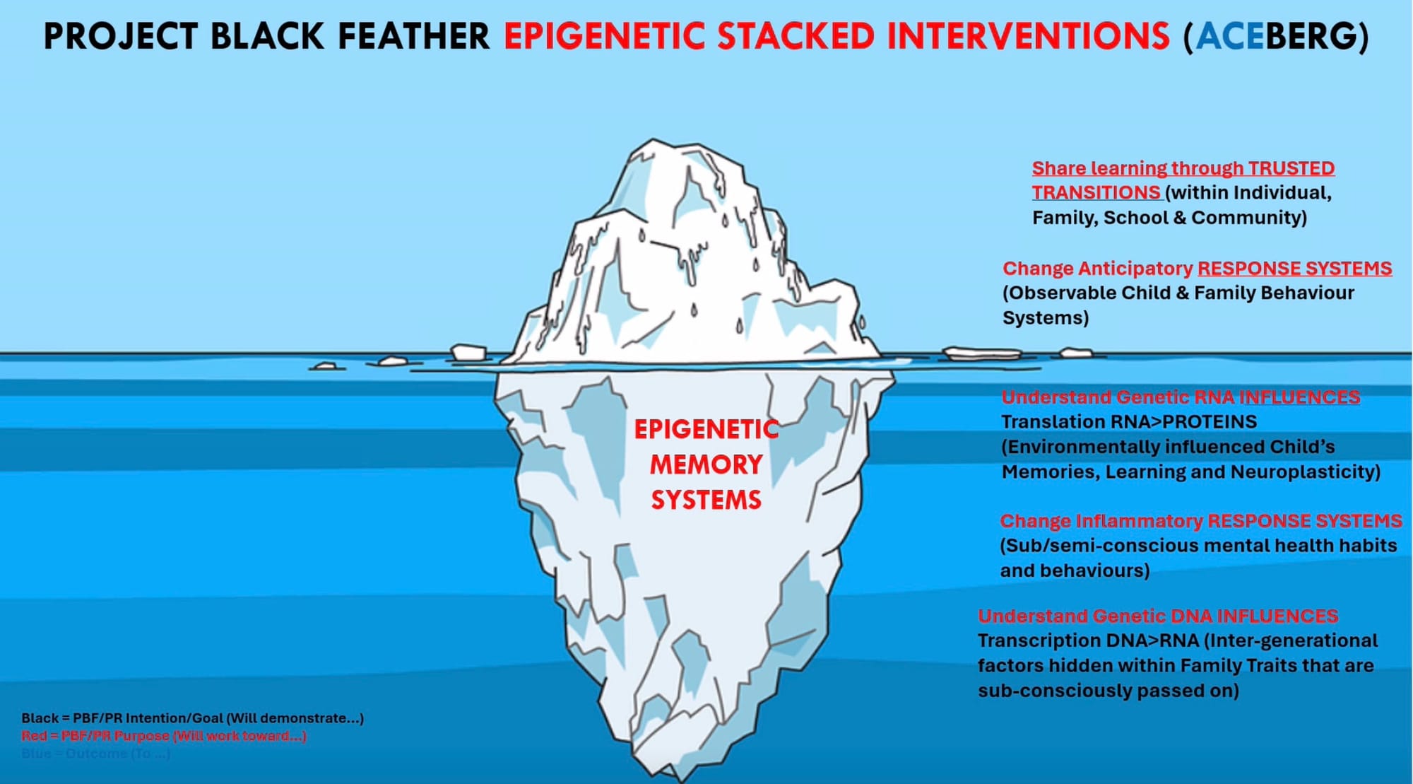 Project Black Feather presentation