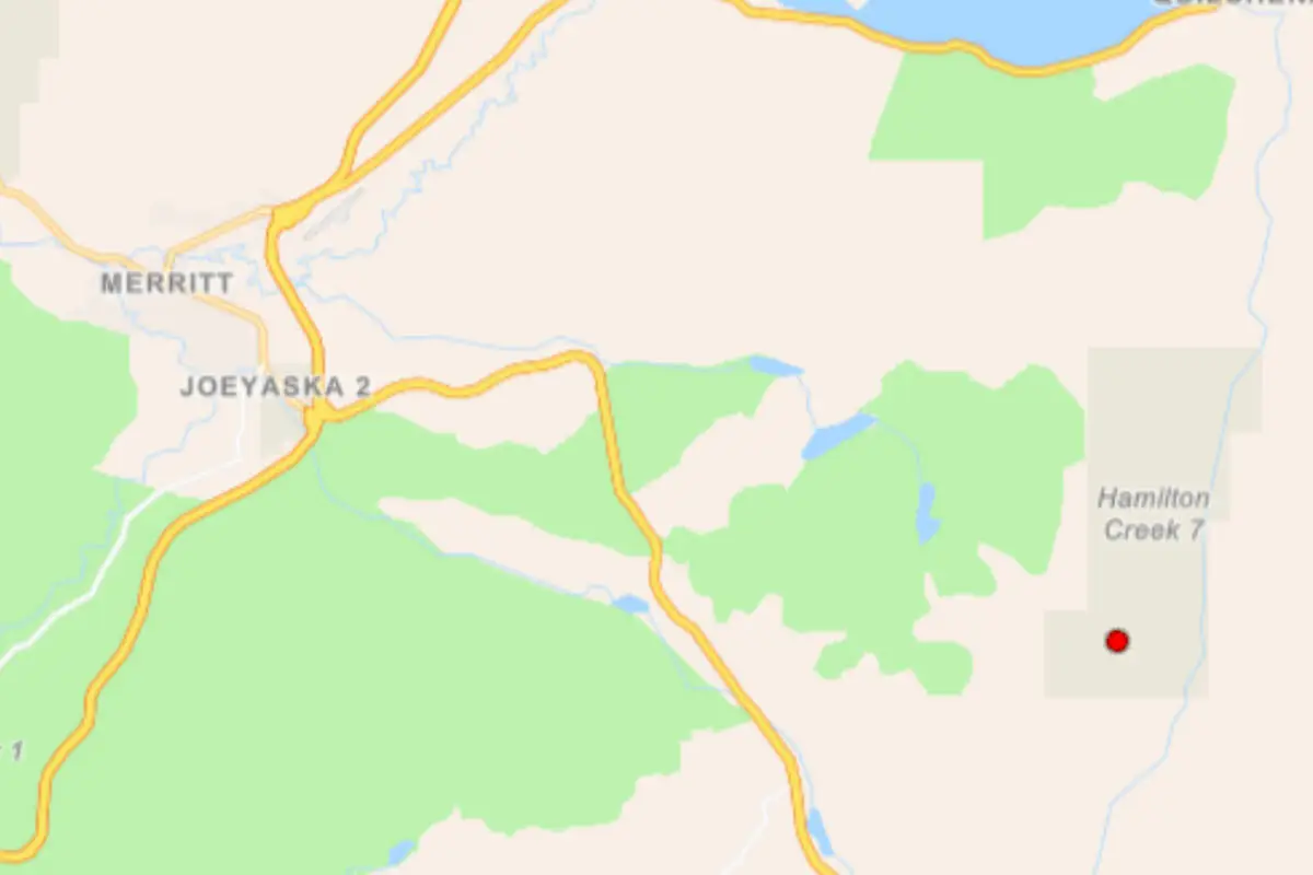 Wildfire near Merritt