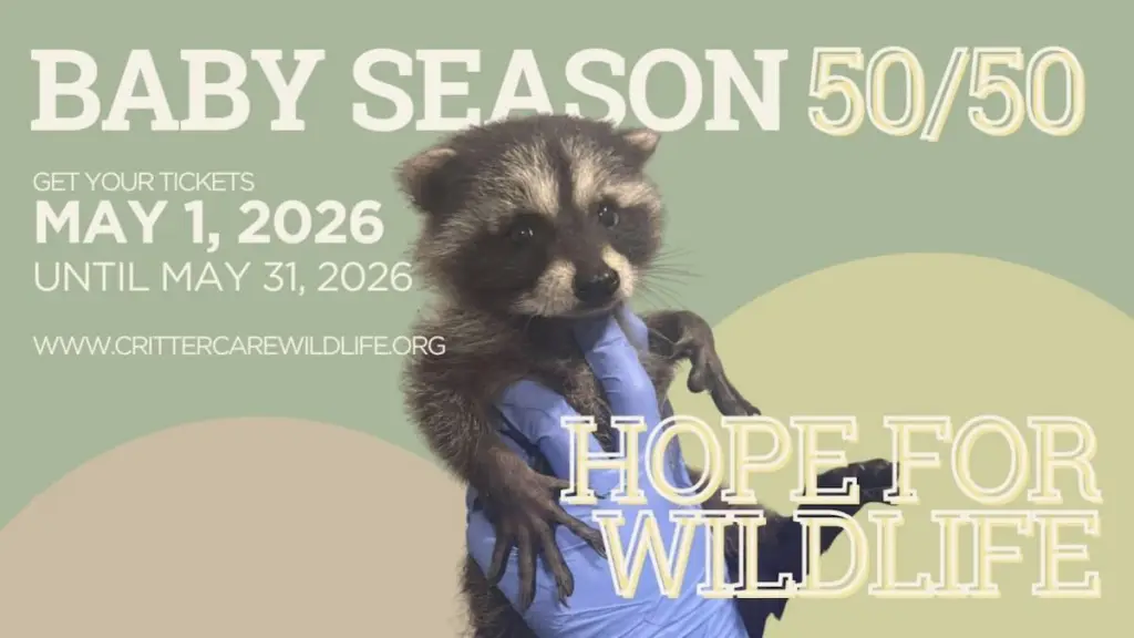 Critter Care Wildlife Society baby season raffle
