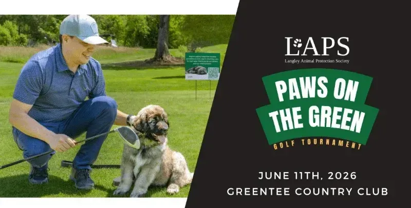 LAPS Paws on the Green golf tournament