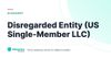 Disregarded Entity (US Single-Member LLC) – definition card from the Heavnn University tax and residency glossary