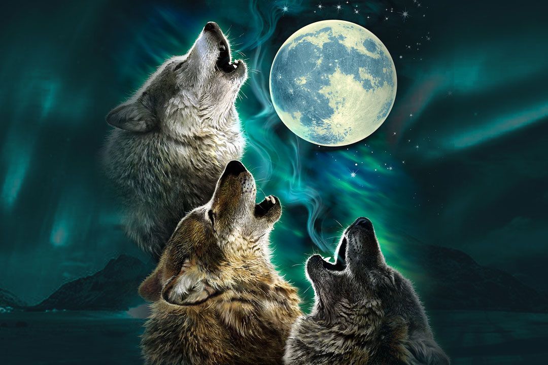 The Security Tool that Cried Wolf: When Alert Fatigue Becomes Alert Indifference