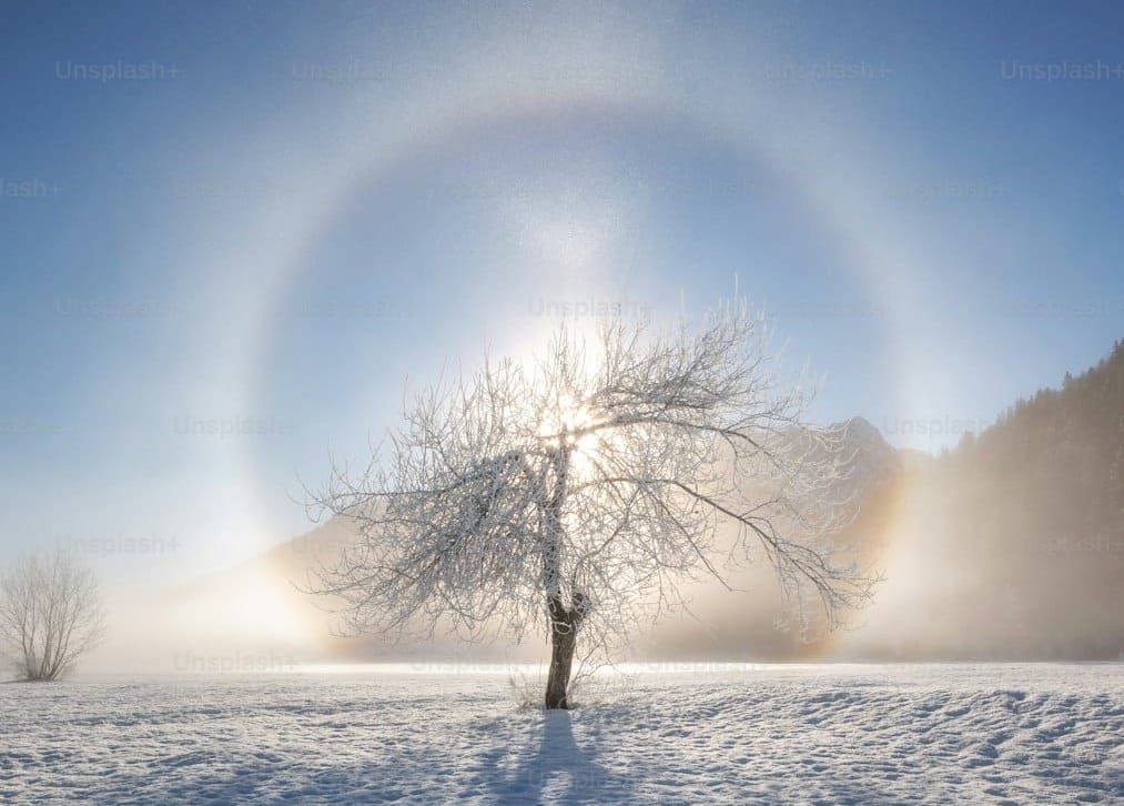 End Your Suffering To Ascend To Your Life's Purpose