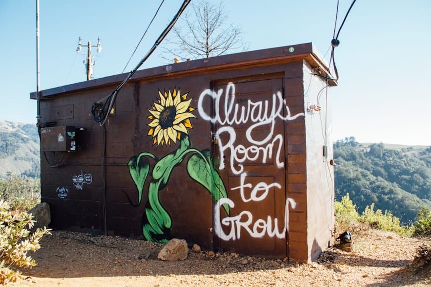 Following Your Path of Expansion: Living and Unleashing Your Purpose