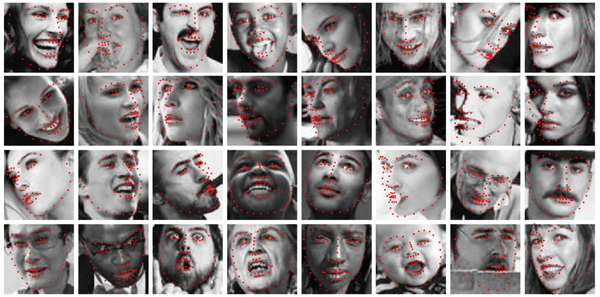 Lightweight and Effective Facial Landmark Detection using Adversarial Learning with Face Geometric Map Generative Network