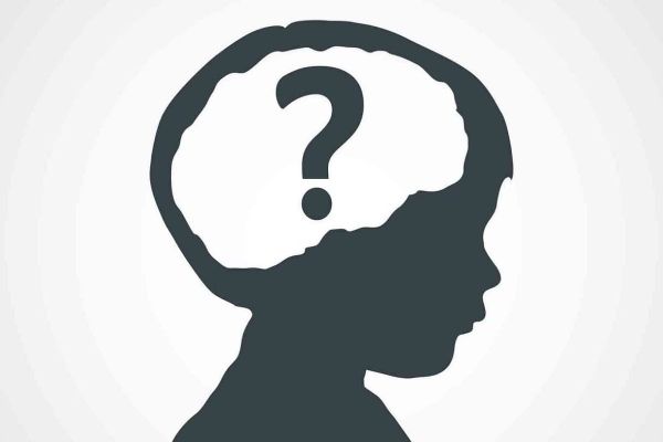 Learning That Ignites Curiosity