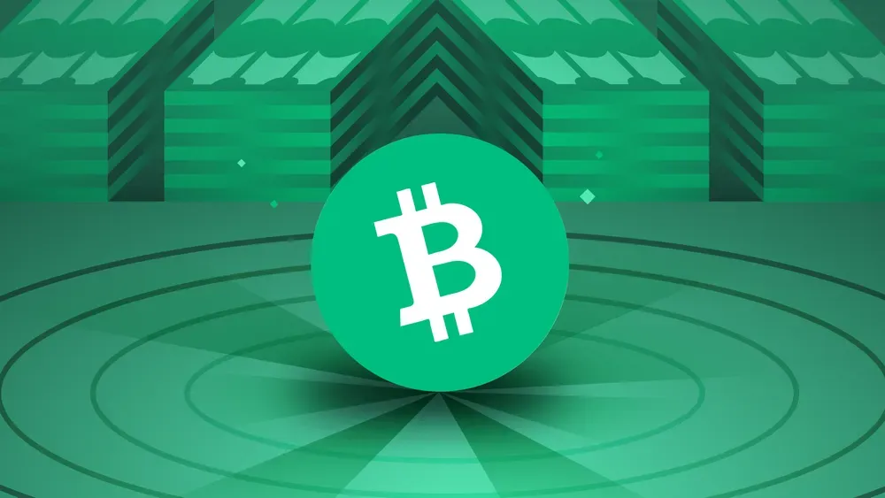 비트코인 캐시(BCH)란 무엇인가요?
