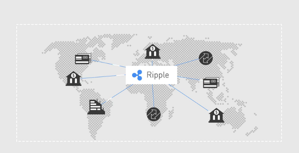 리플이란 무엇인가요?