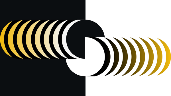 초보자를 위한 이중 지불 설명