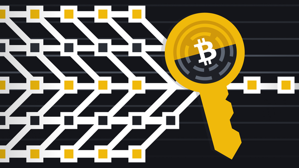 슈노르 서명은 비트코인에서 어떤 역할을 할까요?