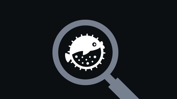 푸퍼 파이낸스(Puffer Finance)란 무엇인가요?