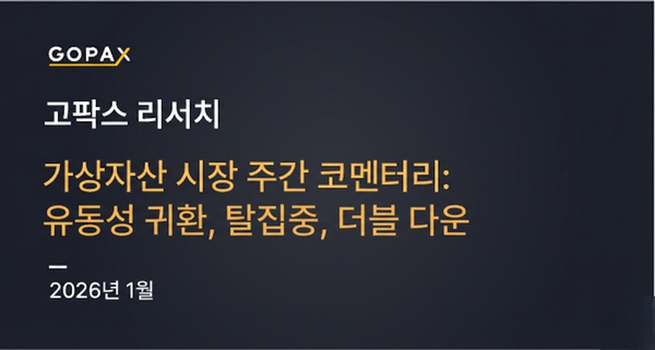 가상자산 시장 주간 코멘터리: 유동성 귀환, 탈집중, 더블 다운