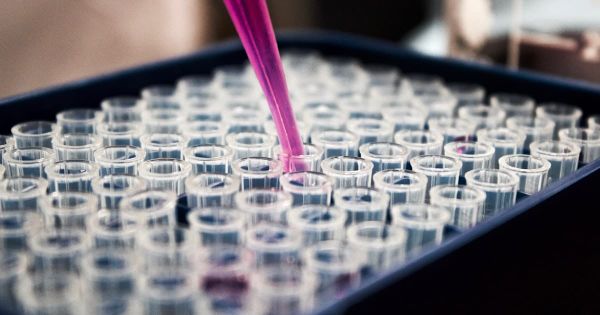 EBC-46 (Tigilanol Tiglate): The Complete Scientific Guide