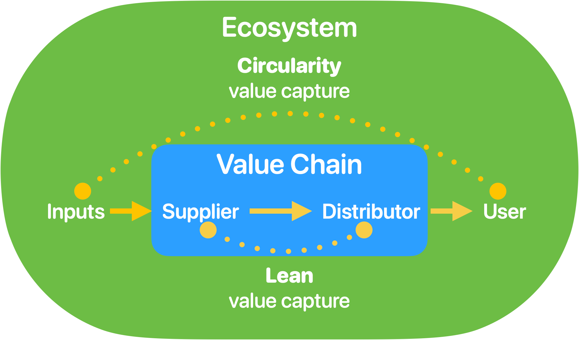 Circular transformation mirrors Toyota's Lean success: systematic waste elimination creates competitive advantage beyond operations.