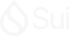 Sui 2025: Parallel Execution Infrastructure Analysis | Cache256