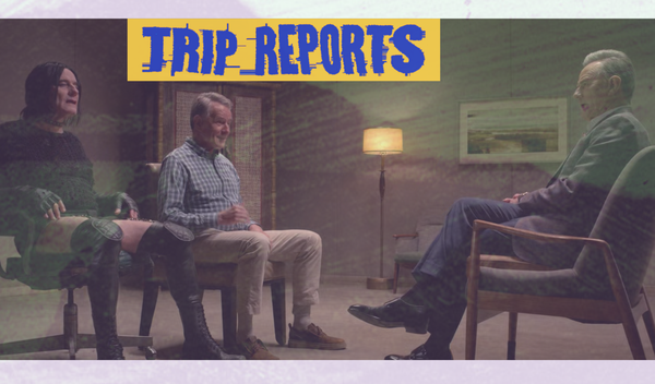 Report #3: Bryan Cranston does psychedelic therapy on Malcolm in the Middle