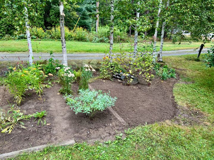 A promise yet to be fulfilled [05/25]