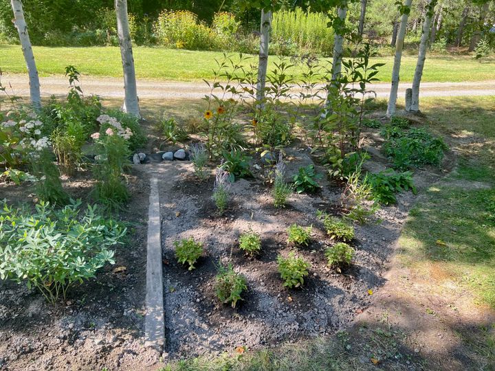 A promise yet to be fulfilled [06/25]