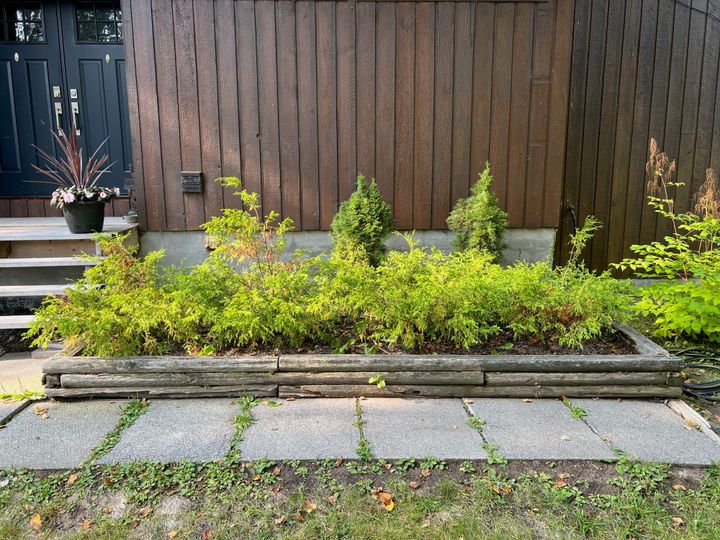 A promise yet to be fulfilled [07/25]