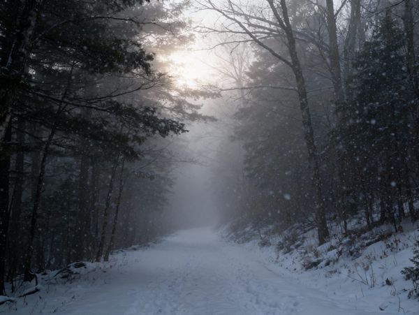 The House at the Edge of the Map