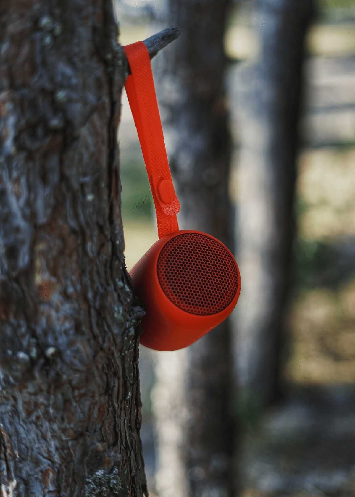 Loudest Bluetooth Speakers