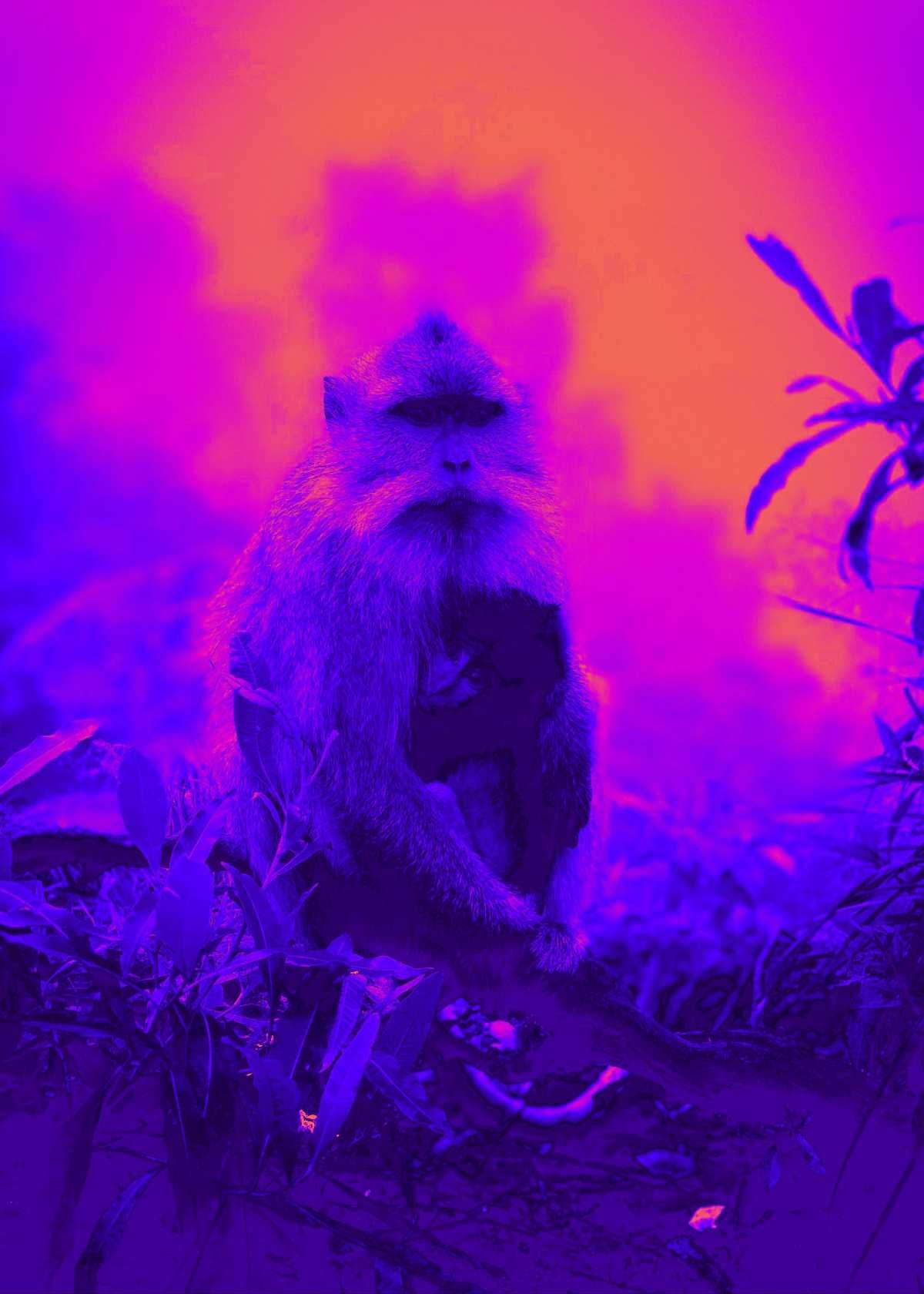 Cheap Thermal Camera