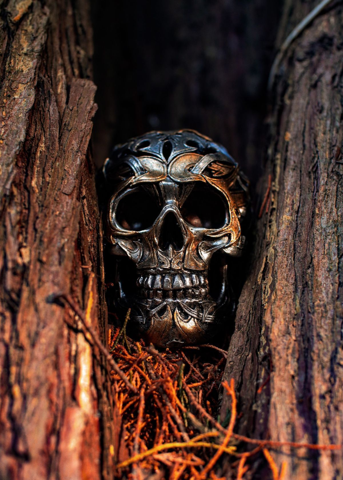 How to use a metal detector