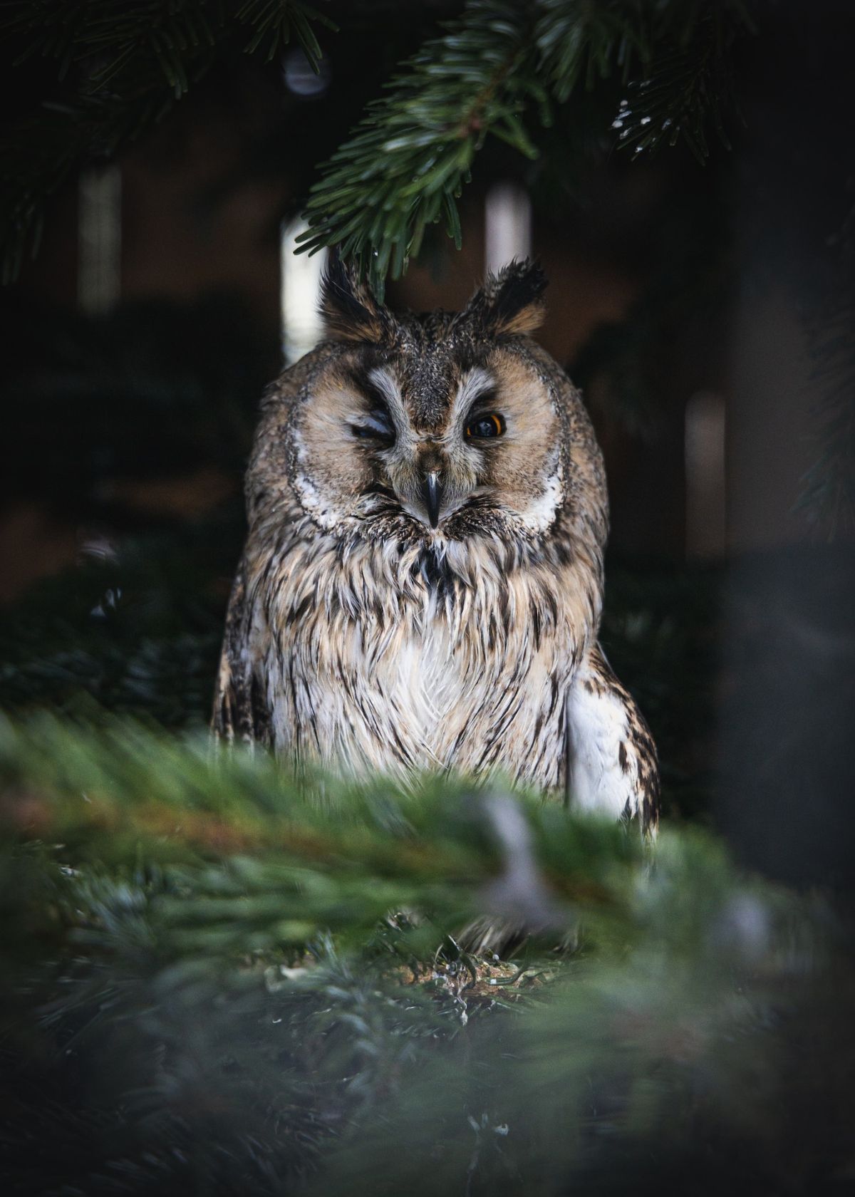 how do night vision goggles work