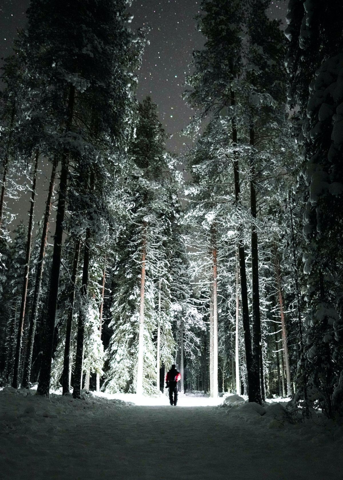 what is the best tactical flashlight