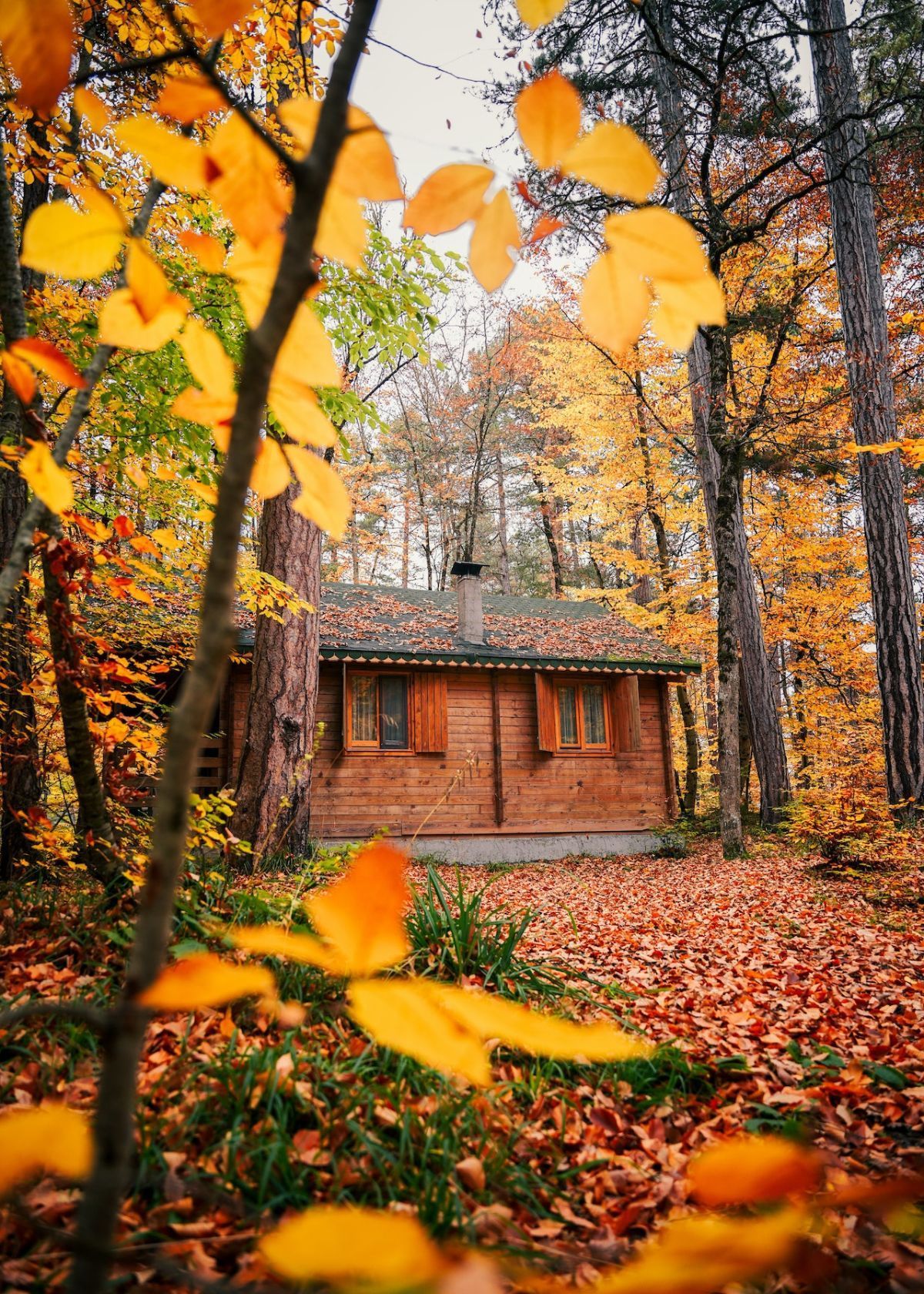 trail cameras for security