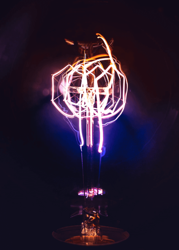  Bug Zapper Light Bulb