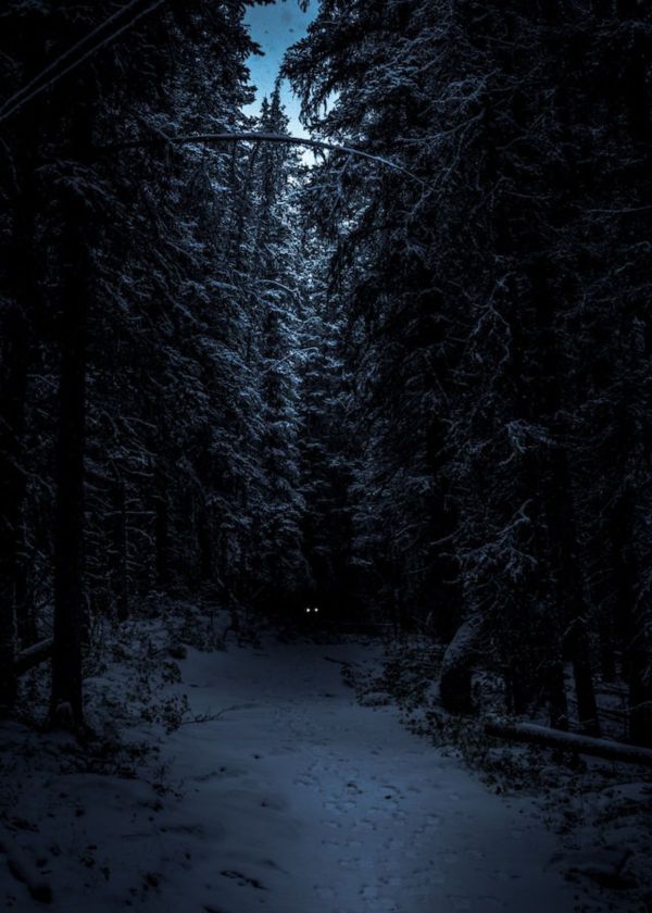 Are Night Vision Goggles Legal