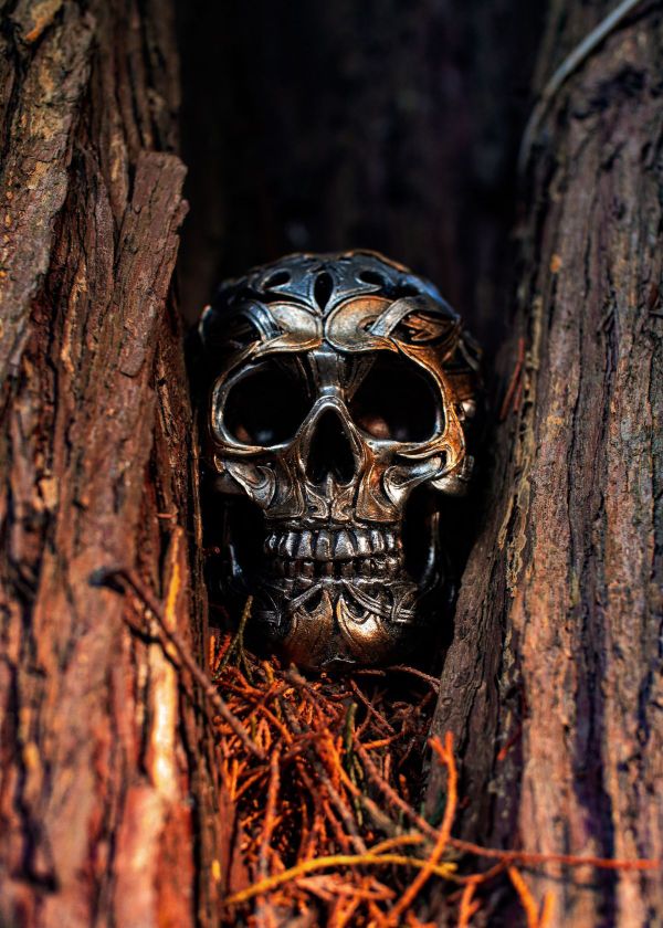 How to use a metal detector