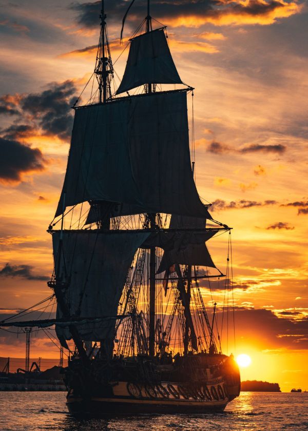 hand held metal detector