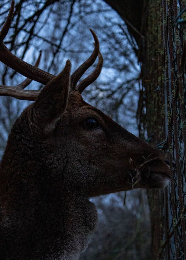 how are night vision goggles made