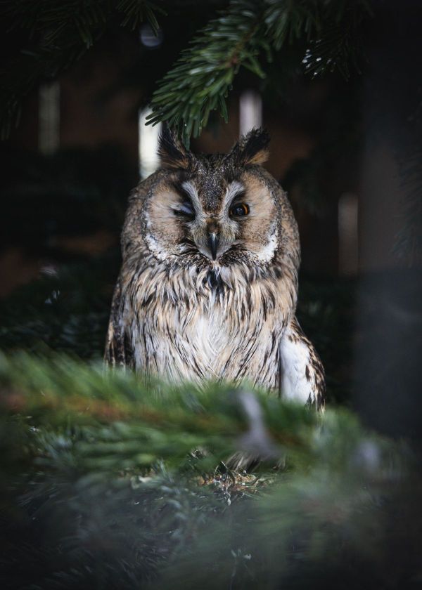 how do night vision goggles work