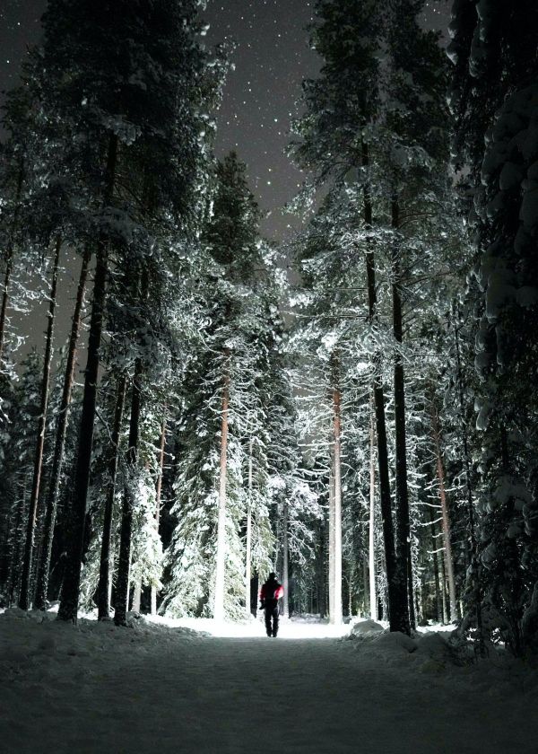 what is the best tactical flashlight