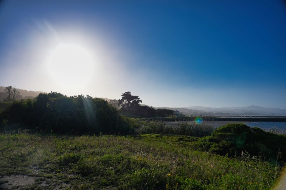 Saturday Morning at Pillar Point