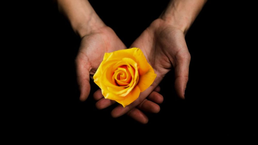 Compassion ~ Presence Without Performance