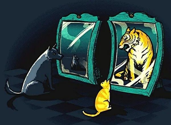 10 Delusions of an Aspiring Buy-sider