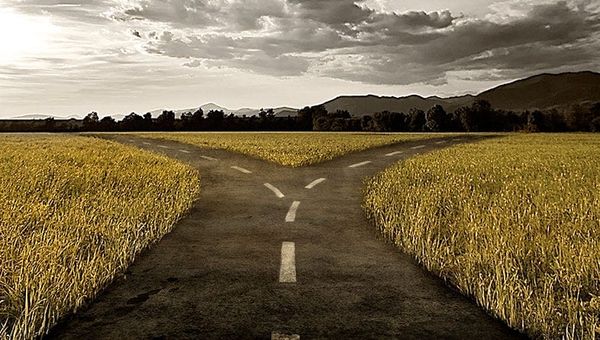Keys to the Next Stage: Moving On from the Sell-Side