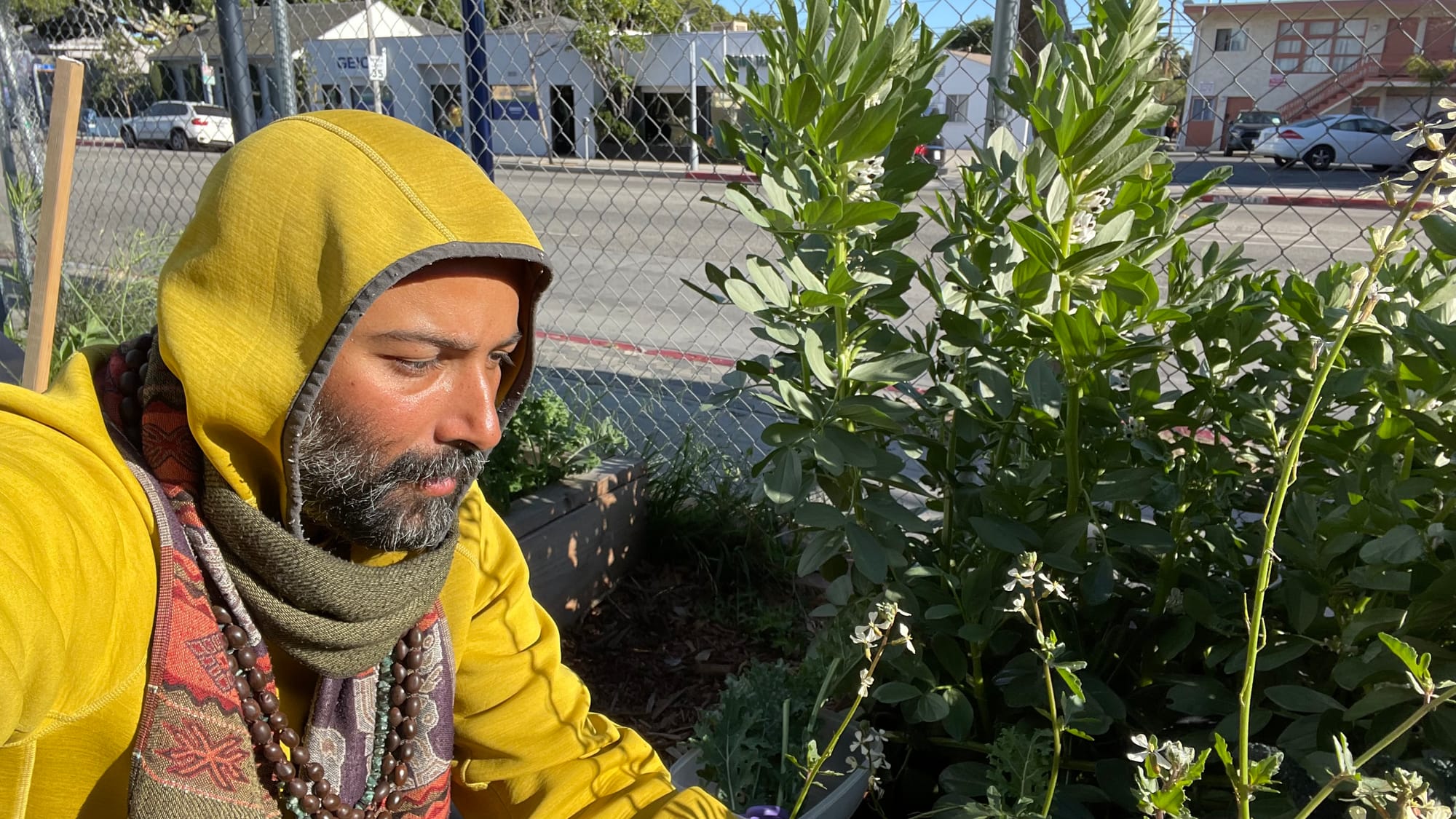 “G” / Gaurav Cedric Bhatnagar / Master Nataraj G at Pico Roots Revolutionary Garden. Feb 2022.