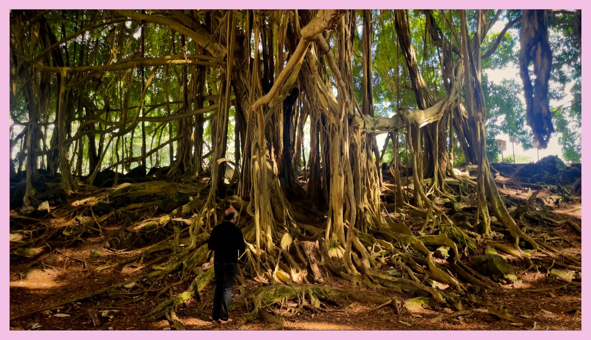 Peace Portal at Banyan Grove next to Rainbow Falls