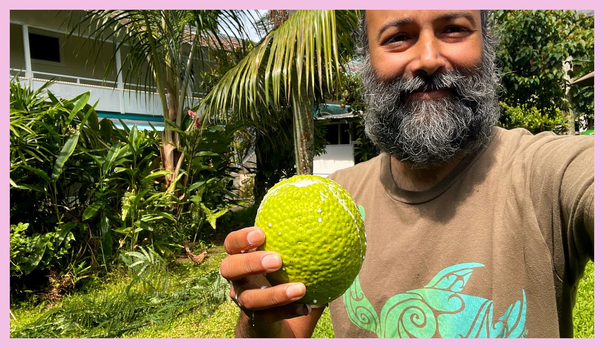 Fresh Ulu found growing at Wild Ginger hotel just north of Hilo downtown — an incredible treat!