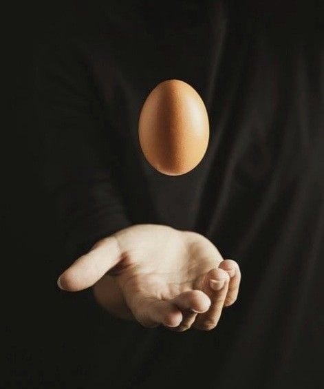 Vajon a tojás fehérje tudja, hogy van neki sárgája?