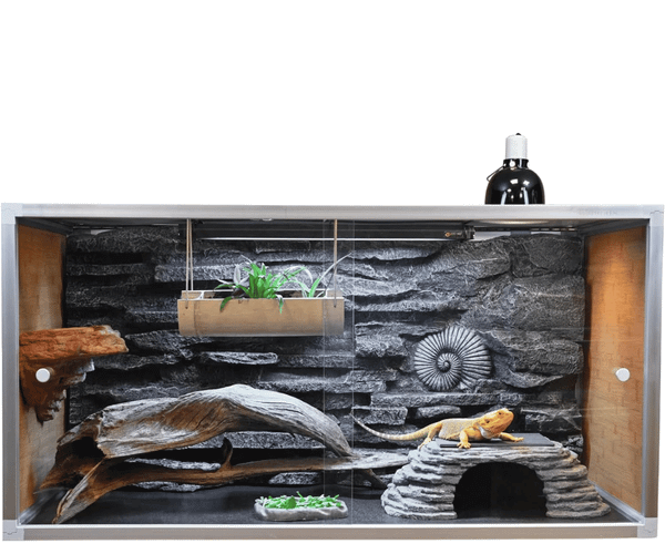 Best Bearded Dragon Cages To Pamper Your Pet!