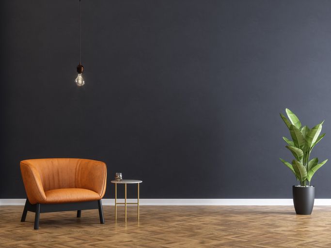 Our 10 Favorite Low Light Houseplants